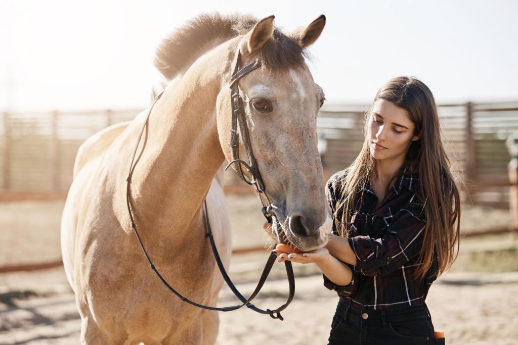 Ubezpieczenie konia może wydawać się nieco nietypowe, zwłaszcza dla osób spoza świata jeździectwa.