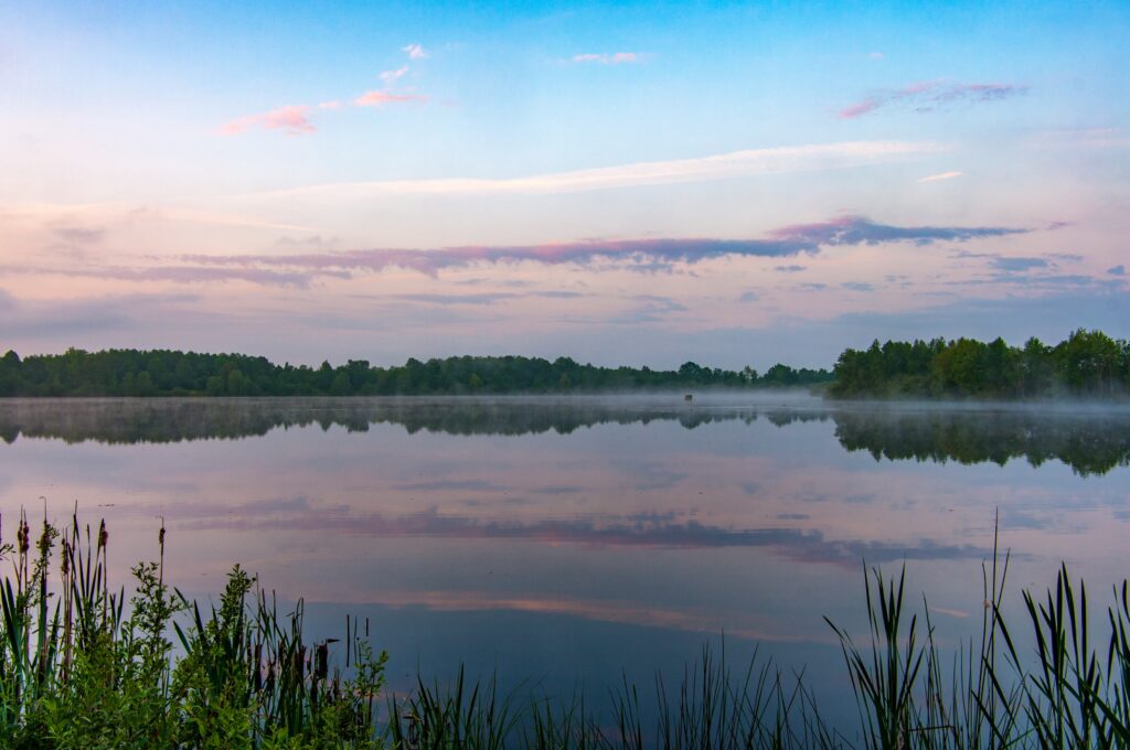 Warmia to raj dla miłośników przyrody – liczne ścieżki rowerowe oraz piesze trasy spacerowe prowadzą przez malownicze lasy, łąki i wzgórza