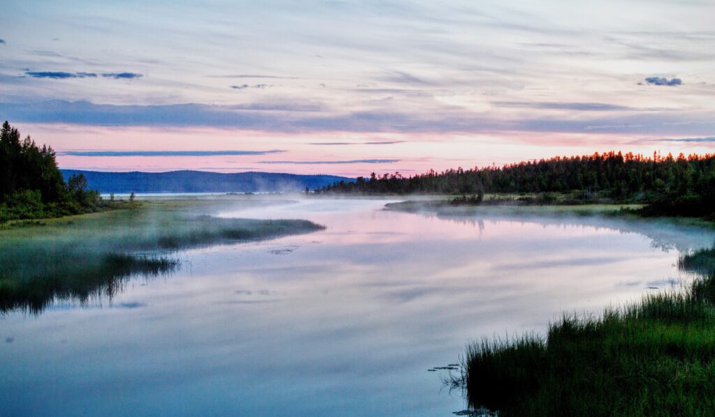 Warmia to raj dla miłośników przyrody – liczne ścieżki rowerowe oraz piesze trasy spacerowe prowadzą przez malownicze lasy, łąki i wzgórza